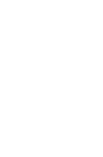 LEO Developments